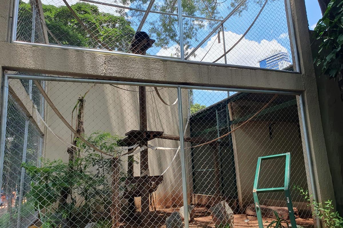 imagem colorida denuncia de descuido zoologico de goiania