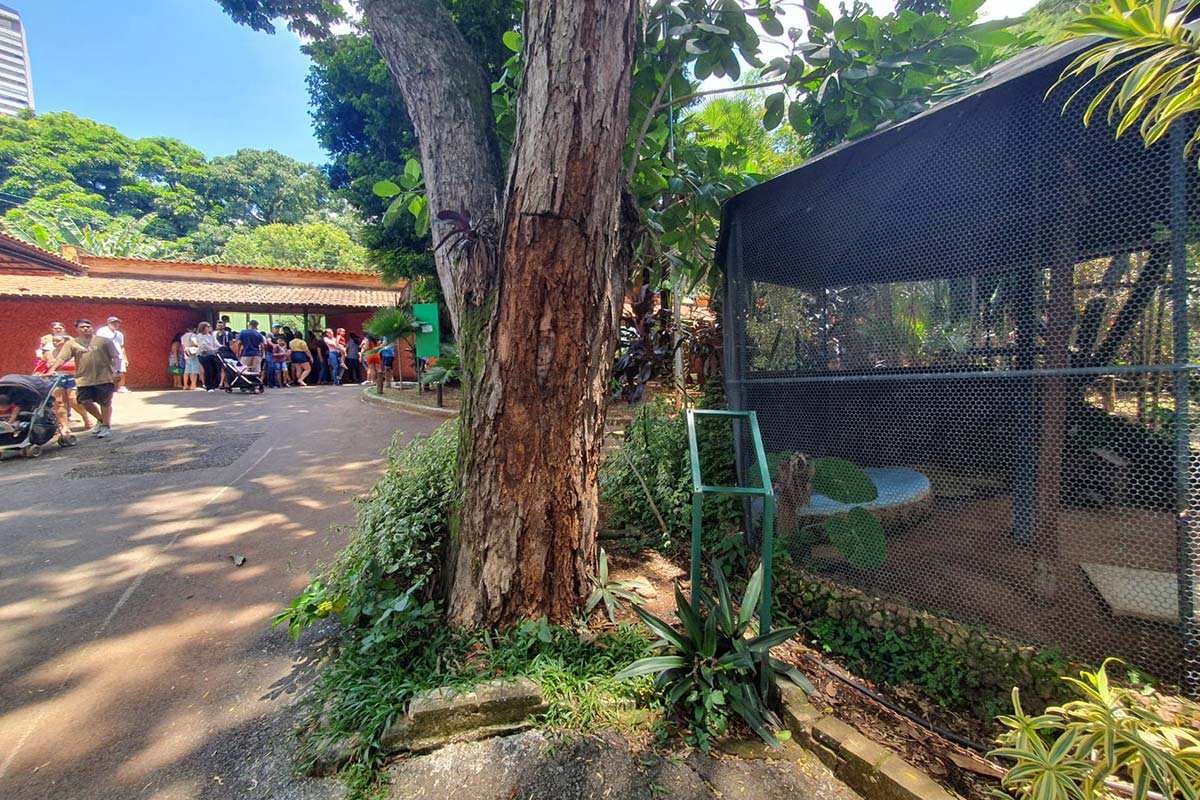 imagem colorida denuncia de descuido zoologico de goiania