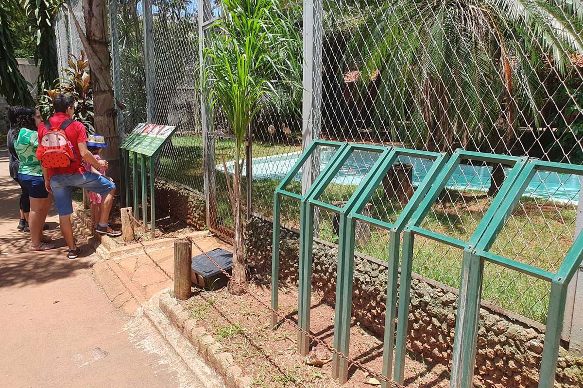 imagem colorida denuncia de descuido zoologico de goiania