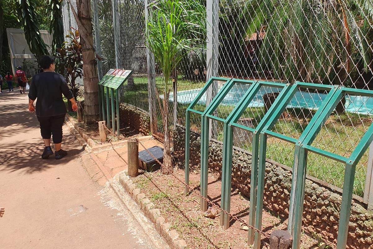 imagem colorida denuncia de descuido zoologico de goiania