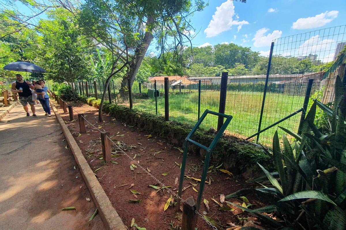 imagem colorida denuncia de descuido zoologico de goiania