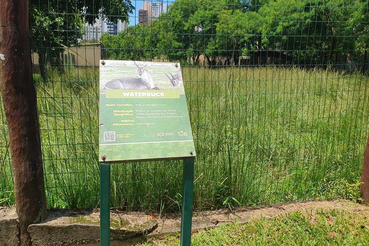 imagem colorida denuncia de descuido zoologico de goiania