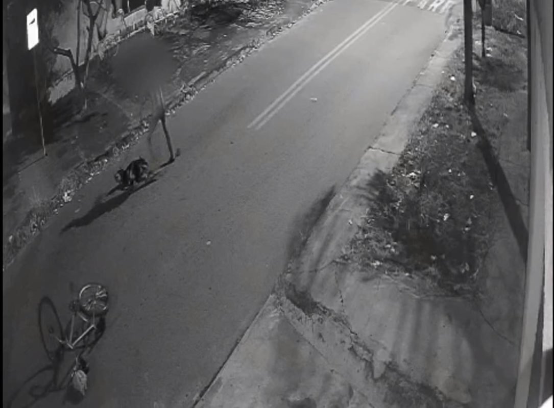 Imagem em preto e branco de uma câmera de segurança que flagrou maus tratos a animais - metrópoles