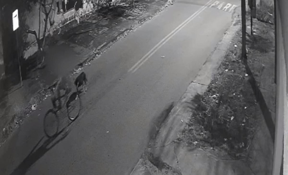 Imagem em preto e branco de uma câmera de segurança que flagrou maus tratos a animais - metrópoles