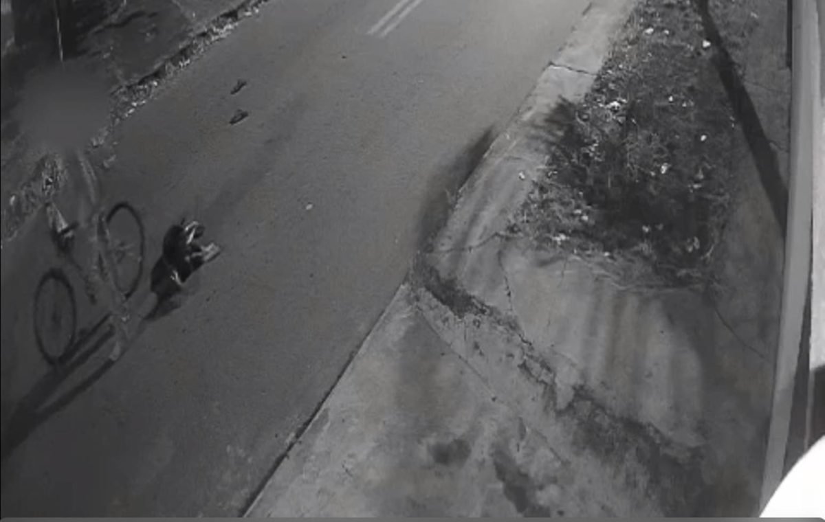 Imagem em preto e branco de uma câmera de segurança que flagrou maus tratos a animais - metrópoles