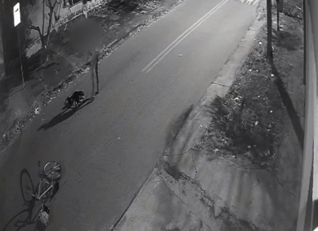 Imagem em preto e branco de uma câmera de segurança que flagrou maus tratos a animais - metrópoles