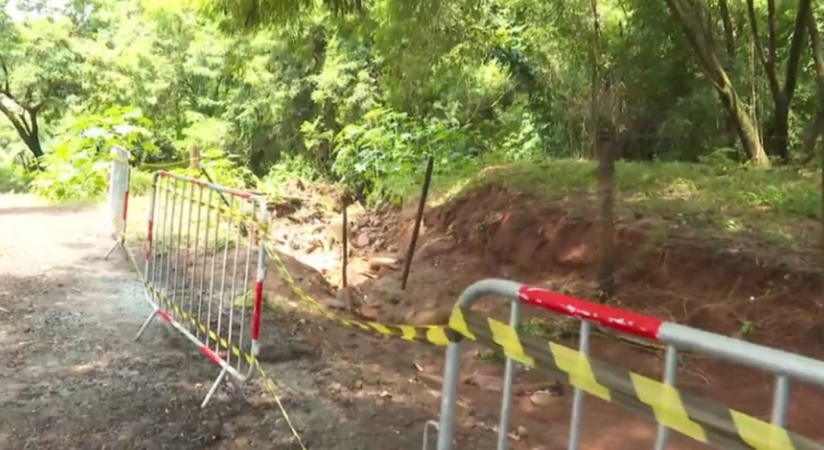 Imagem de área de mata próximo à rodovia, cercada por grades e fita zebrada - Metrópoles