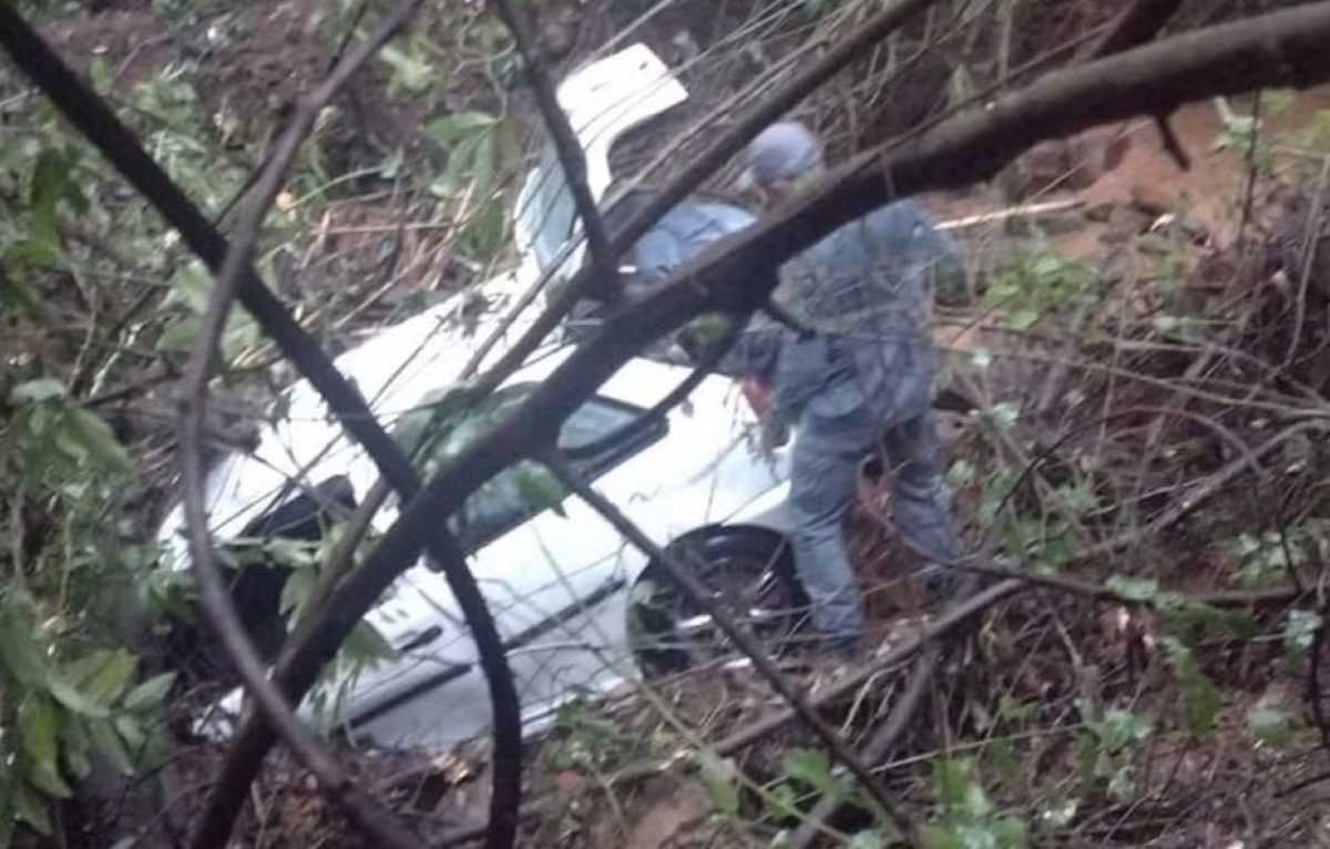 Imagem de carro caído em área de mata - Metrópoles