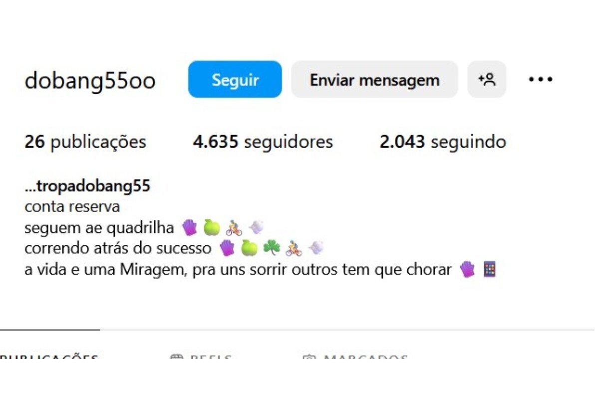 Reprodução colorida de perfil do Instagram - Metrópoles