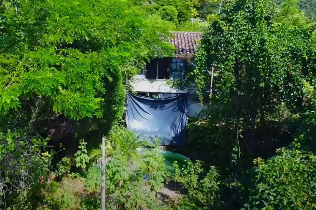 foto colorida de casa em meio a diversas arvores - metrópoles