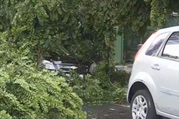 Print de vídeo de imagem de carro preto Chevrolet envolto em galhos de árvores caídos por causa de temporal; uma mulher estava no veículo e ficou presa no local - Metrópoles