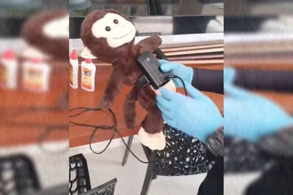Operação da polícia encontra macaco de pelúcia com tornozeleira eletrônica