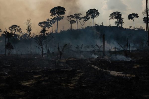 Foto colorida de queimada na Amazônia - Metrópoles