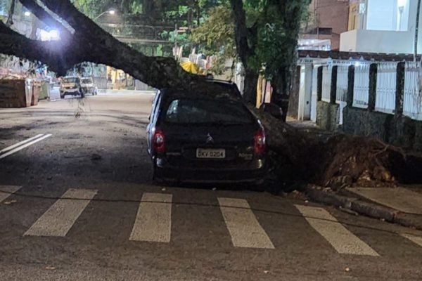 Árvore cai sobre carro durante vendaval em Santos, no litoral de SP