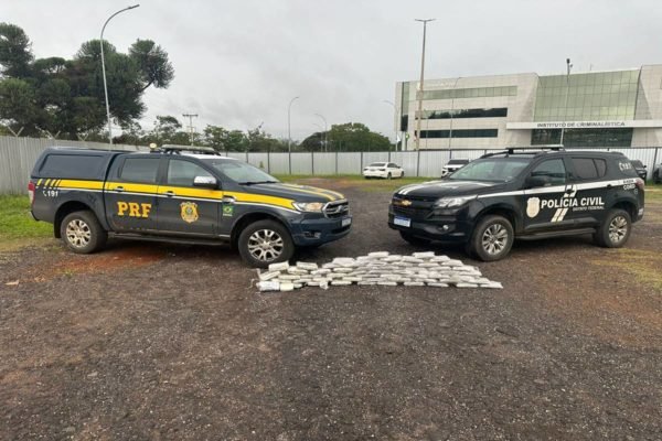 Ação policial apreende 100kg de skunk no DF. Droga valia R$ 3 milhões