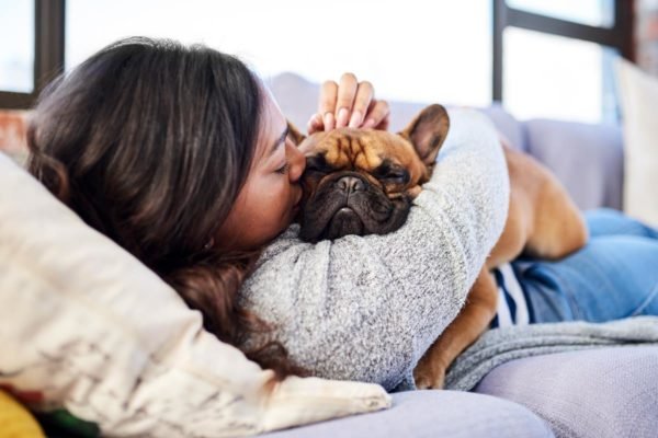 “Bom menino”: cães conseguem entender os humanos, afirma novo estudo