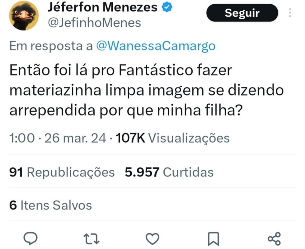 Print do comentário de um internauta sobre o post de Wanessa a respeito da briga no BBB24 - Metrópoles