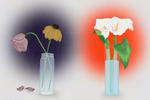 Arte de dois vasos de flores: duas diferentes murchas (a esquerda) e duas iguais saudáveis (a direita) - Metrópoles