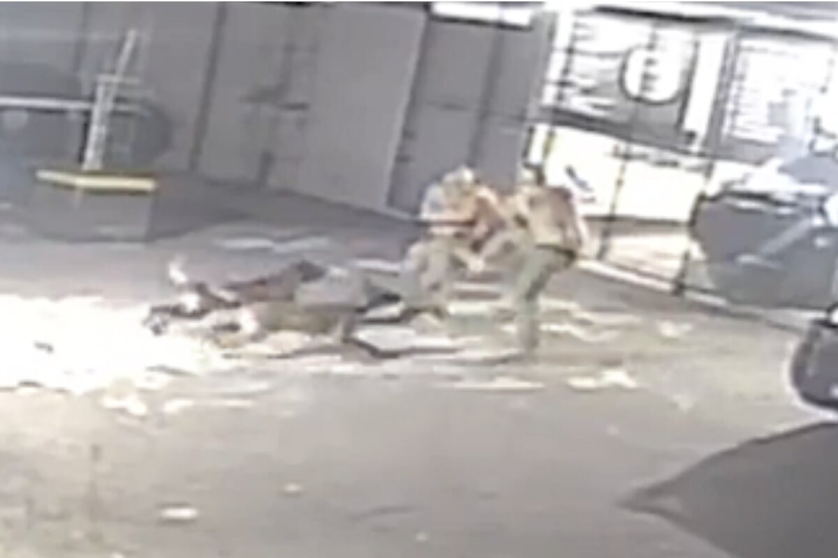 Imagem colorida com dois policiais brigando e cães correndo em direção aos brigões- Metrópoles