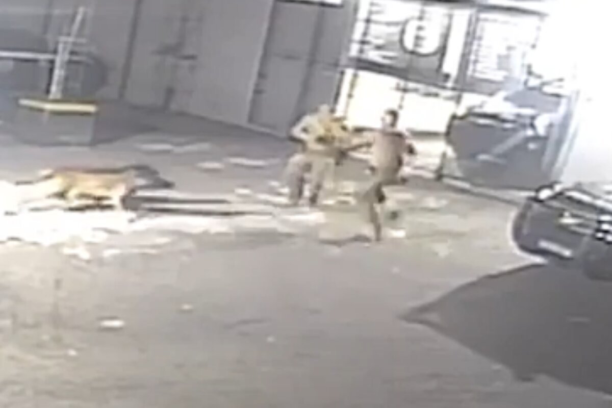 Imagem colorida com dois policiais brigando e cães correndo em direção aos brigões- Metrópoles