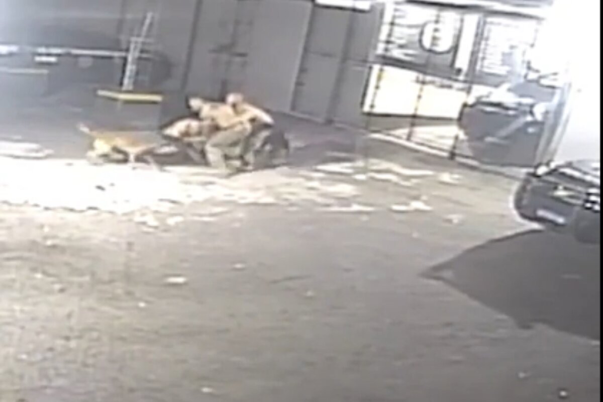 Imagem colorida com dois policiais brigando e cães mordendo os brigões - Metrópoles