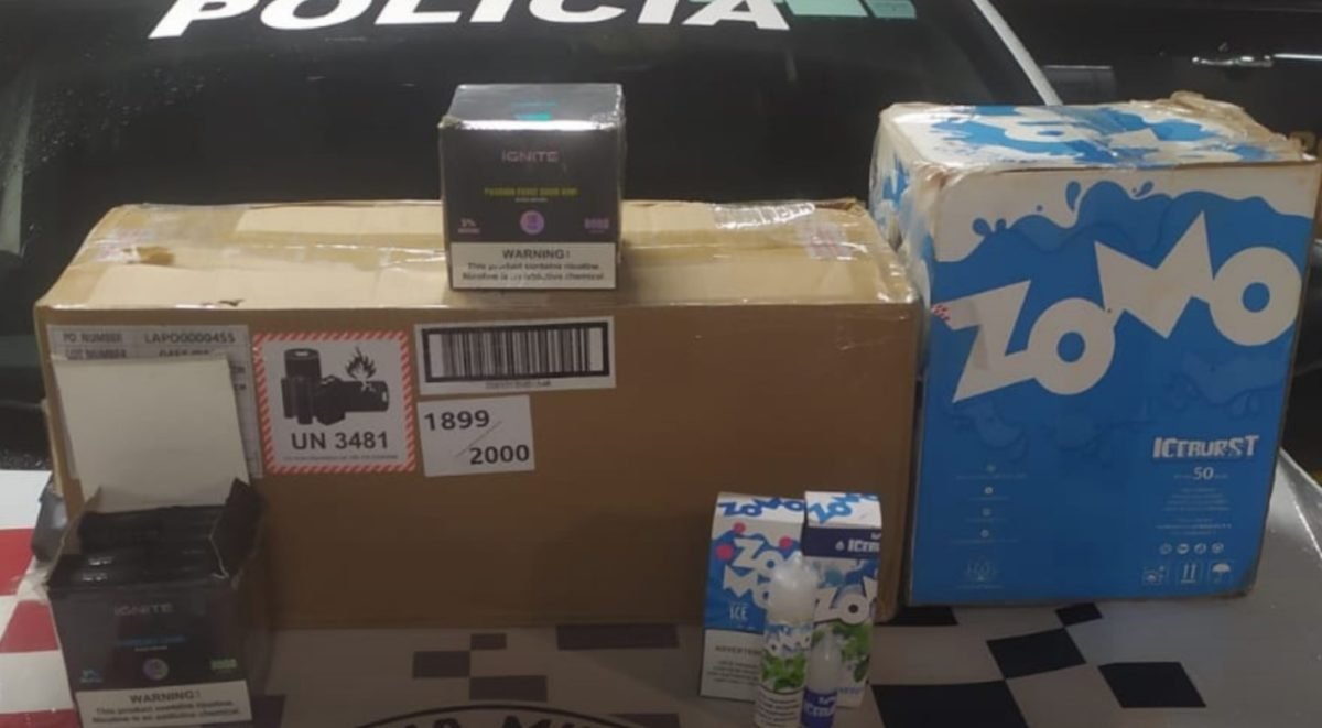 foto colorida de carga de cigarro eletrônico (vape) encontrada escondida em carregamento de alho - Metrópoles