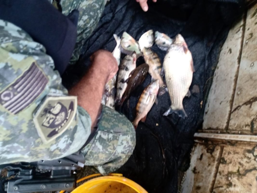 foto colorida de flagrante da Polícia Ambiental de pescador multado por pesca irregular no Rio Paraná, em Panorama (SP) - Metrópoles