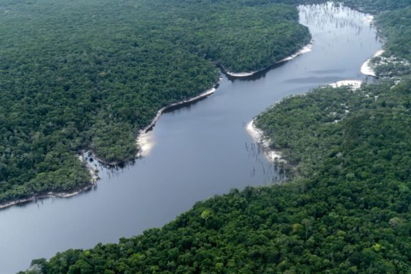 Foto colorida da Amazônia, em Manaus - Metrópoles