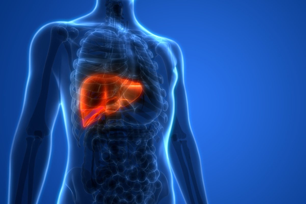 Ilustração de gordura no fígado - Metrópoles