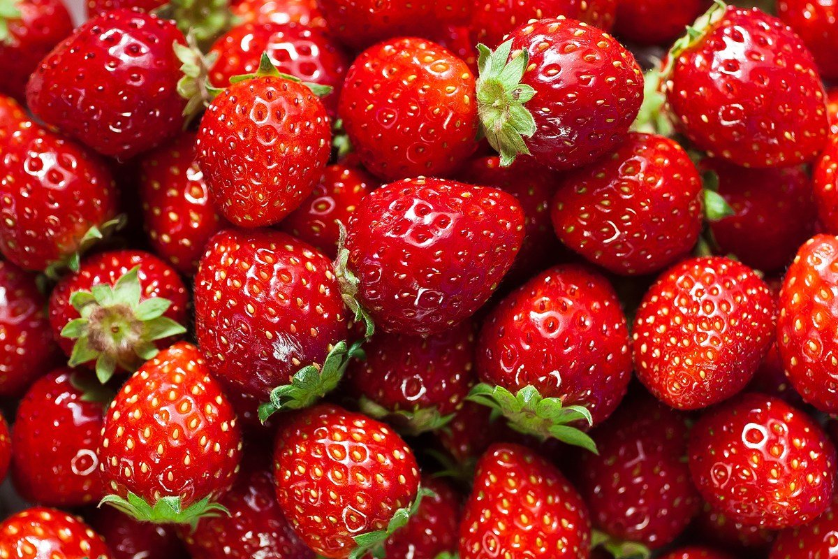 Foto colorida de morangos - Metrópoles
