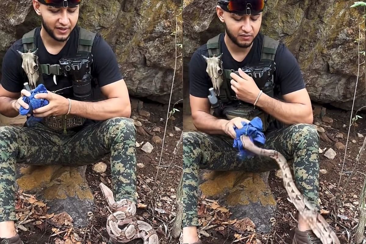 virar o rosto ao encontrar cobra