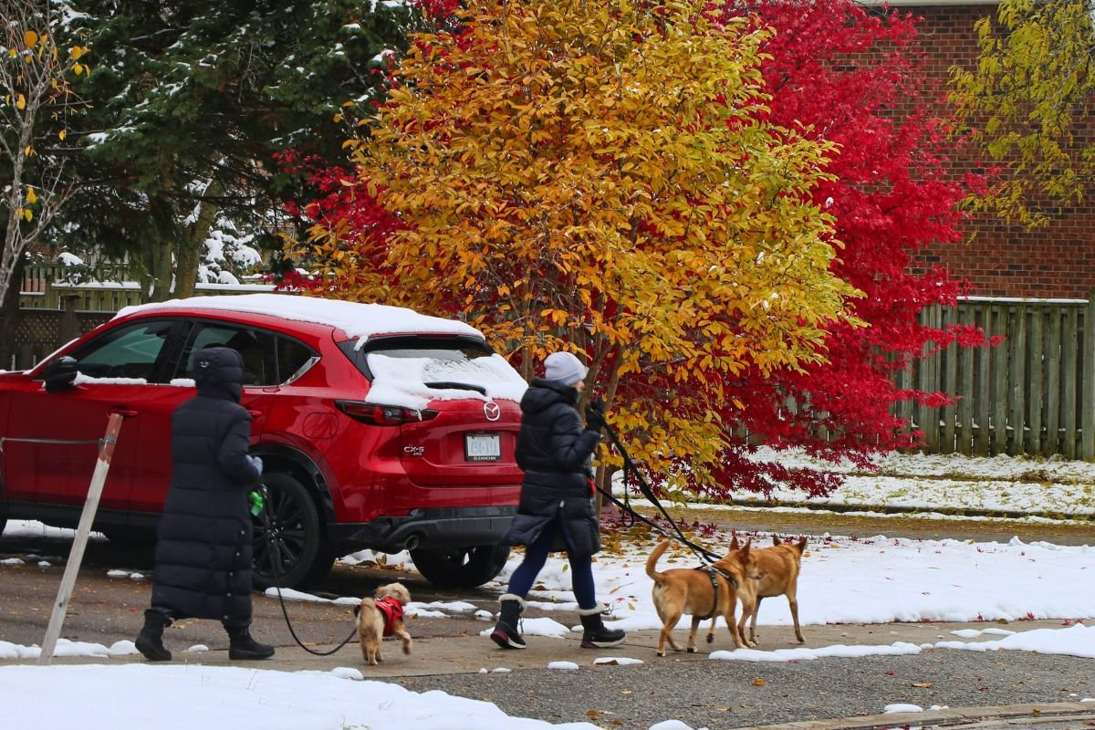 foto com cor. frio no canadá - metrópoles