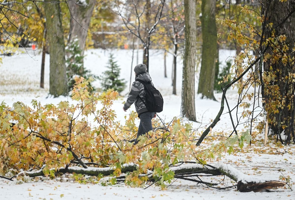 foto com cor. árvores e frio no canadá - metrópoles