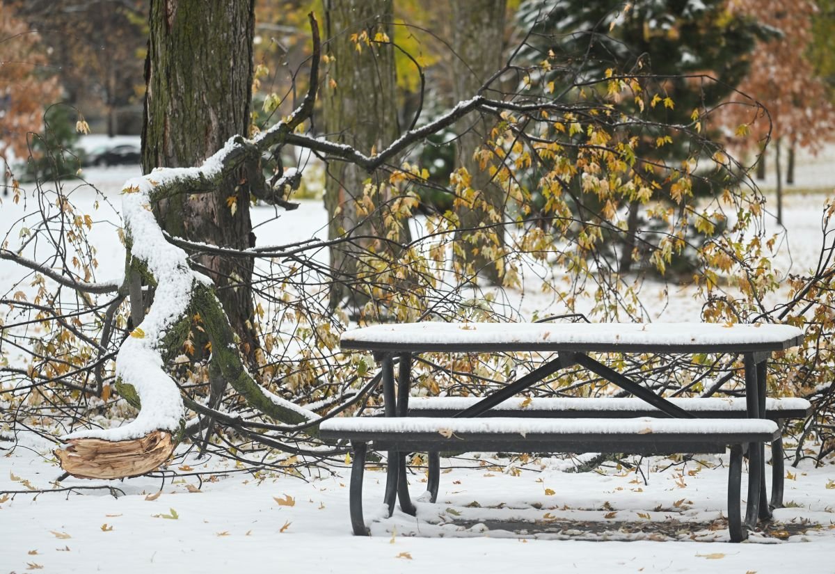 foto com cor. frio no canadá - metrópoles