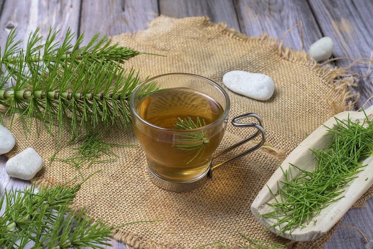 Foto colorida de xícara com chá de cavalinha e ramos da planta - Metrópoles