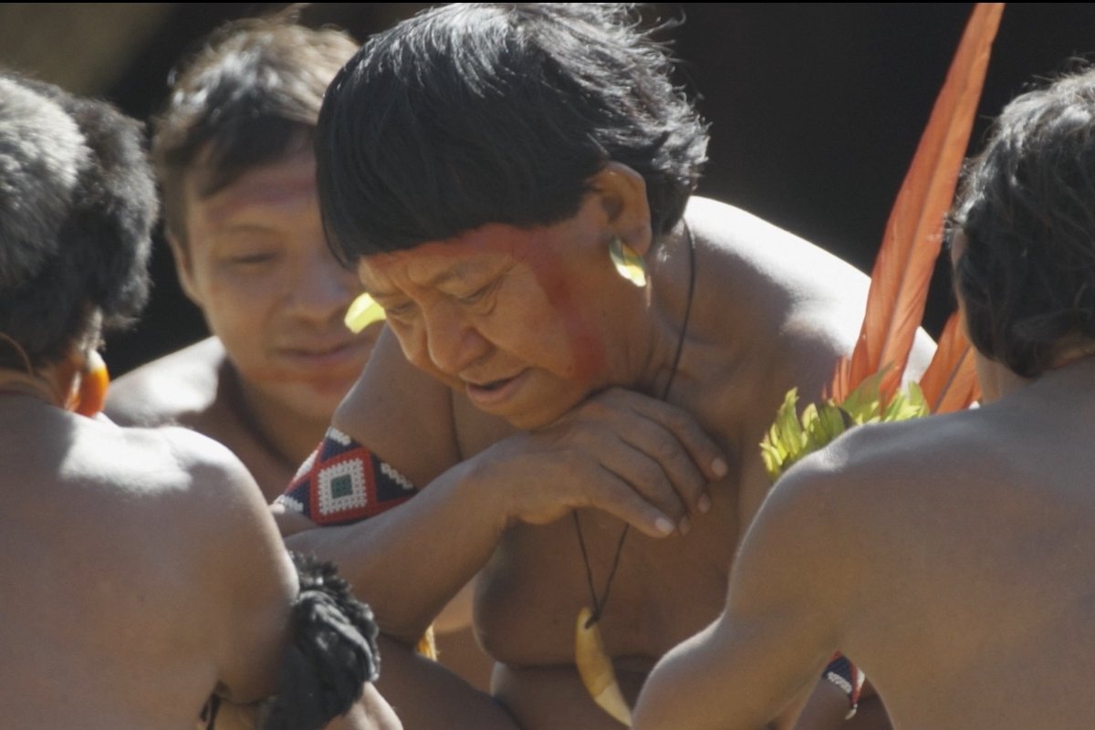 Documentário brasileiro mais premiado de 2025 chega aos cinemas