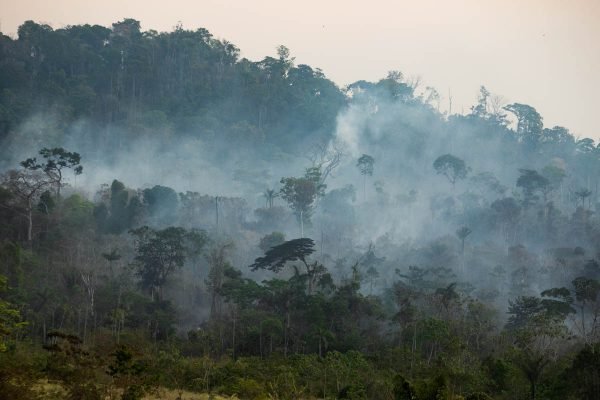 Fotografia colorida de Floresta amazonica incendio desmatamento crime