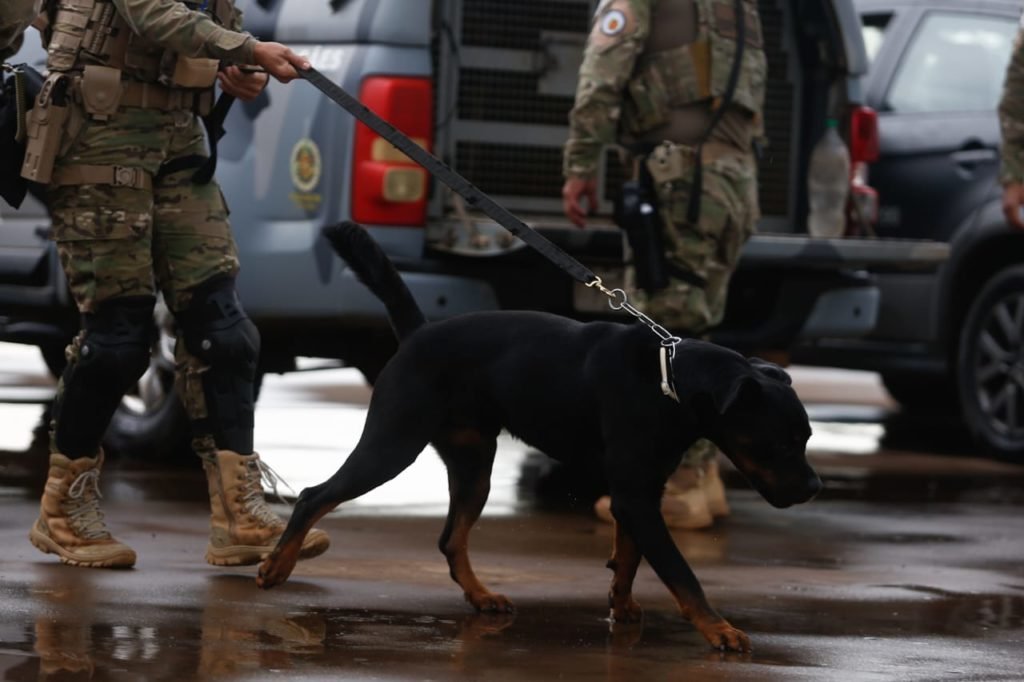 Forças de segurança do Distrito Federal montam esquema de proteção da Esplanada dos Ministérios, postados perto do Museu Nacional para manifestações bolsonaristas. Na imagem, agente anda com cachorro - Metrópoles